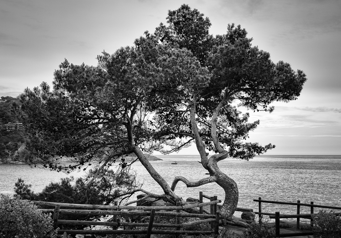 Costa Brava