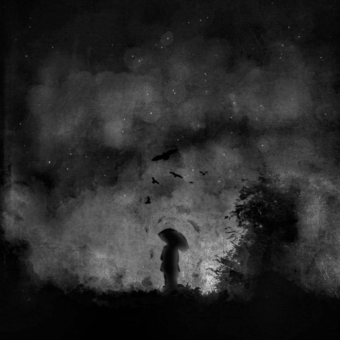 The Birds
