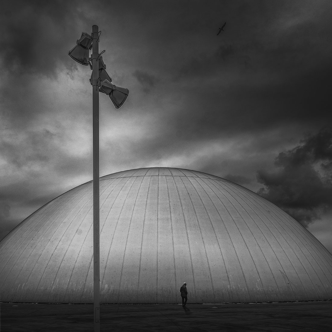 Visita al Niemeyer