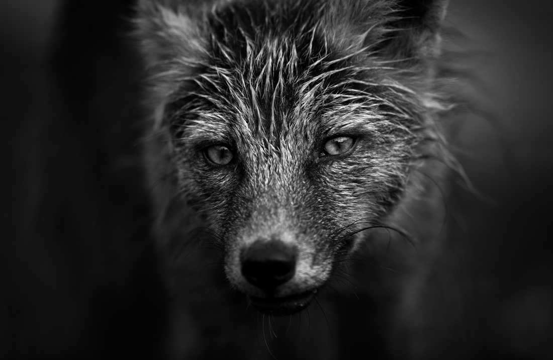 Beautiful Intensity