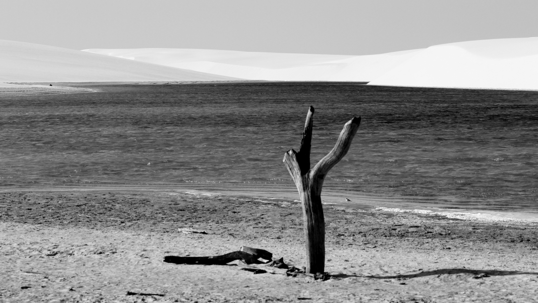 SAND