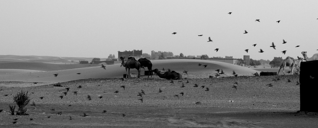 SAND
