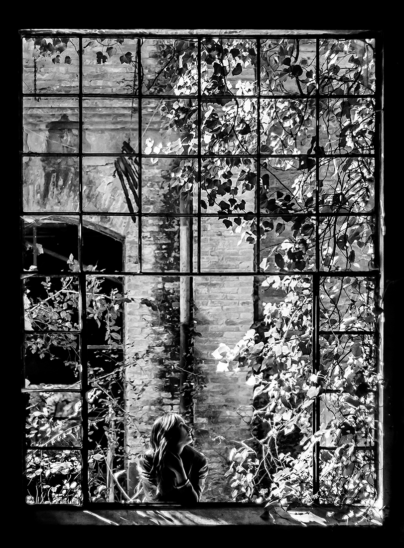 Rear Window