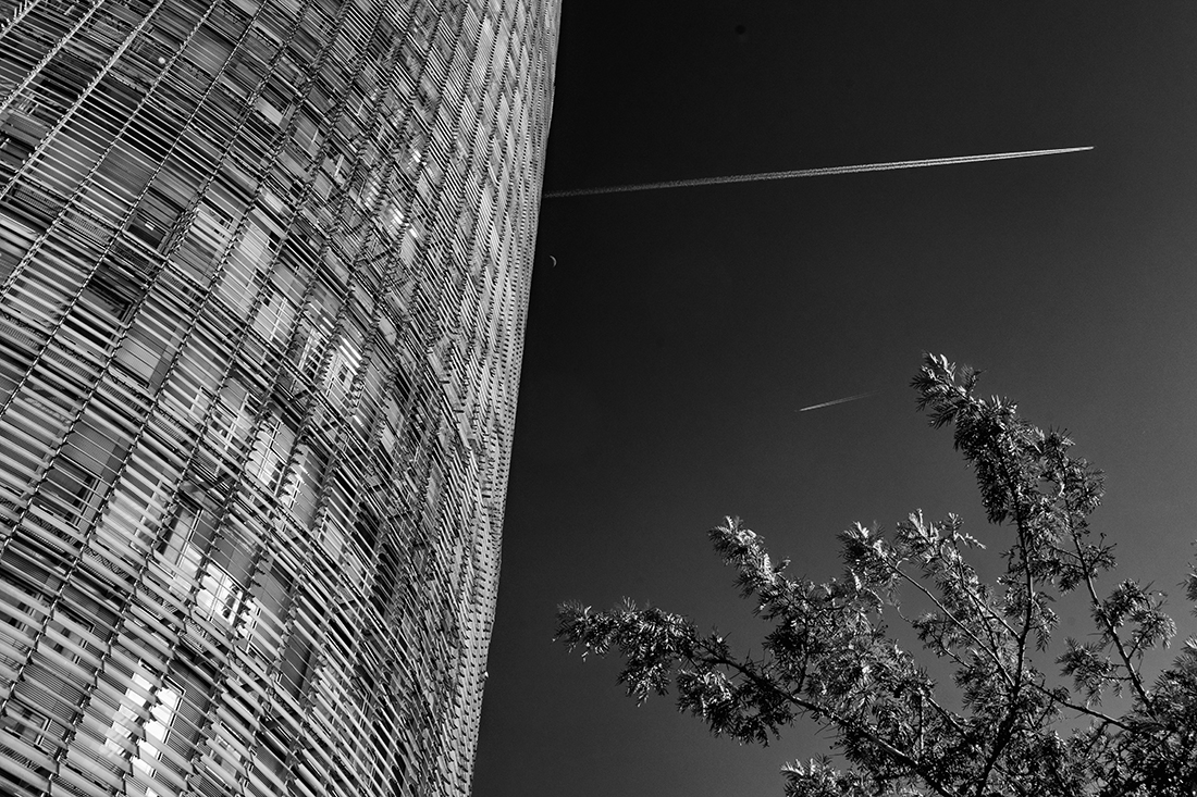 petals of contemporary architecture in barcelona