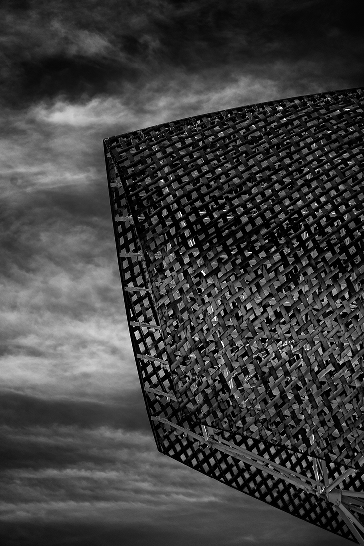 petals of contemporary architecture in barcelona