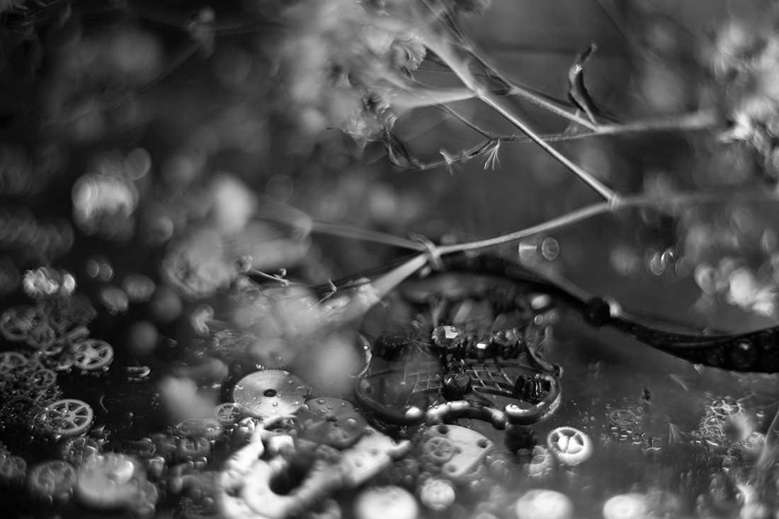 Macro Still Life