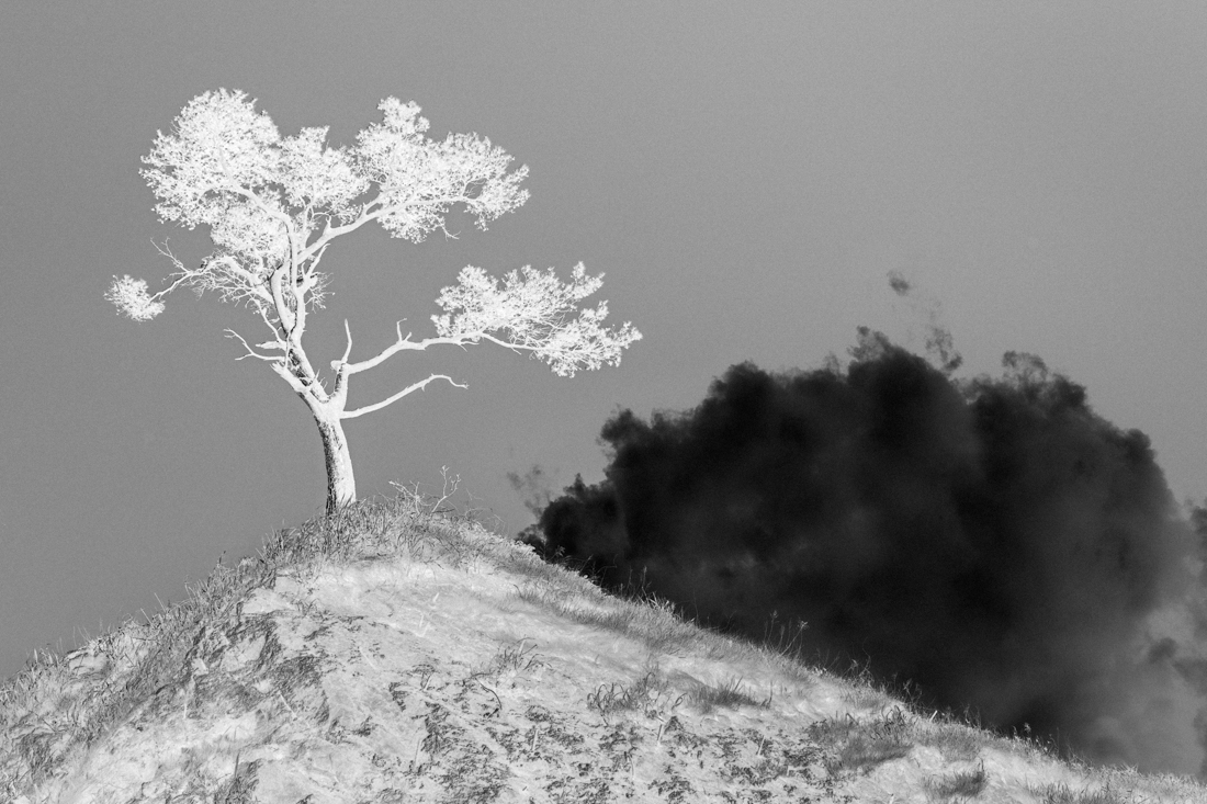 N-Trees