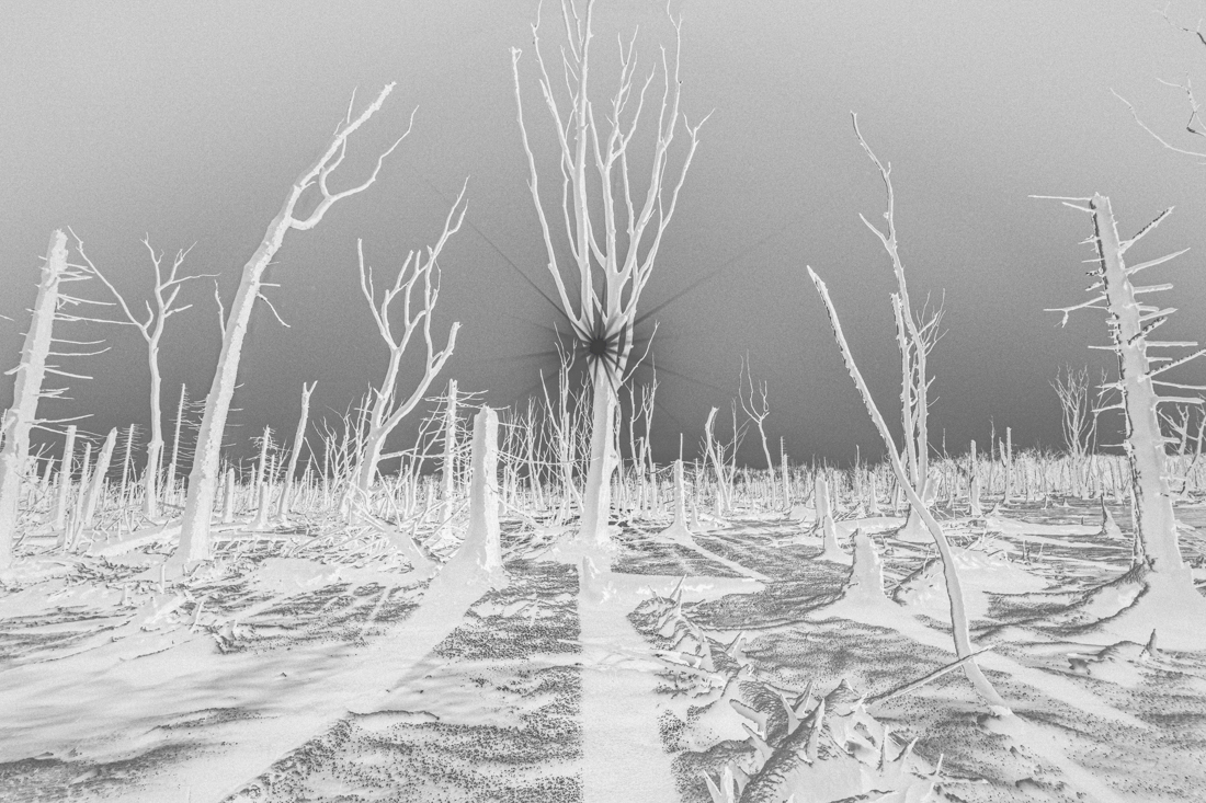 N-Trees
