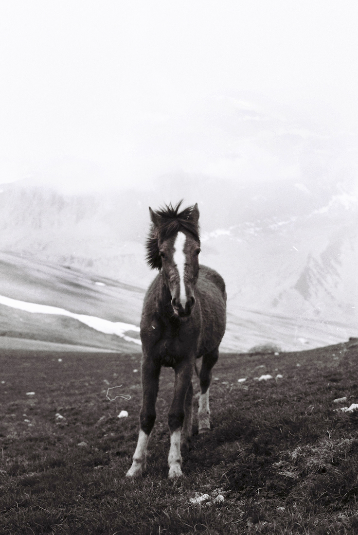 XINALIQ