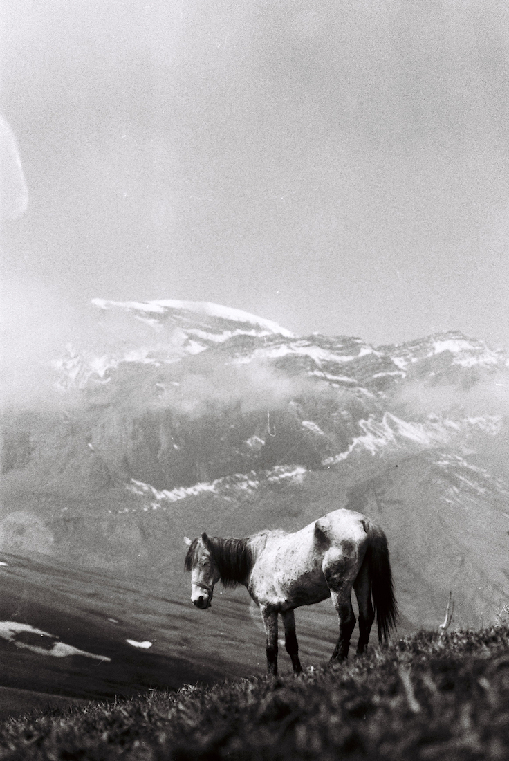 XINALIQ