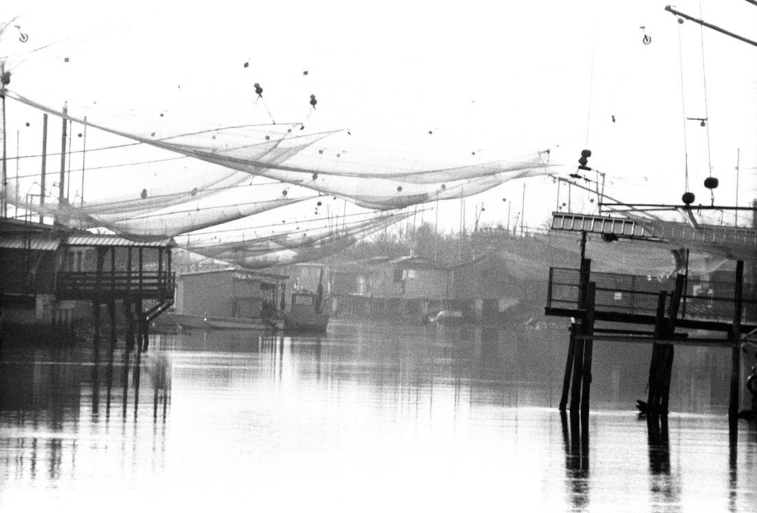 LAGOON
