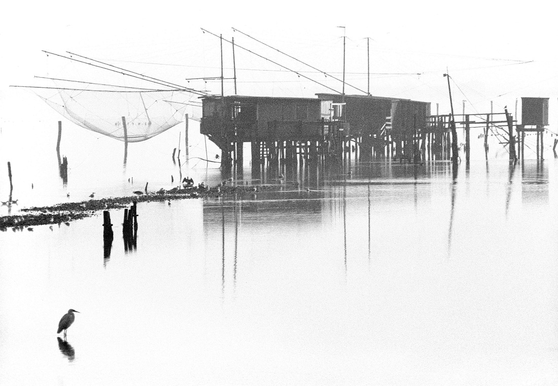 LAGOON