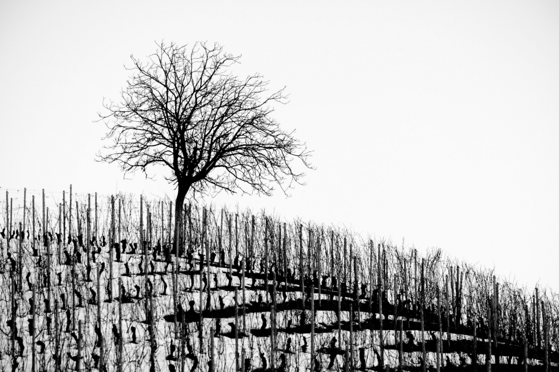 Texture