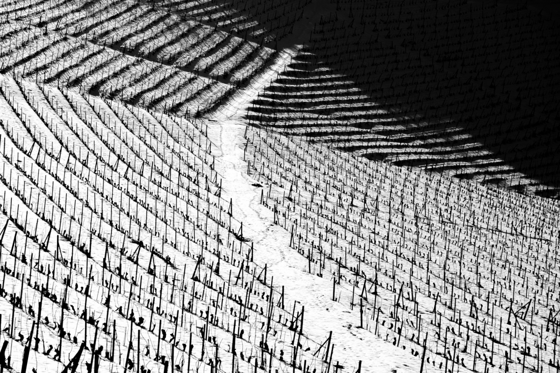 Texture