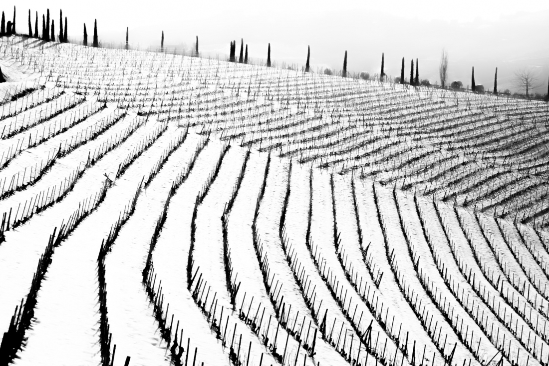 Texture