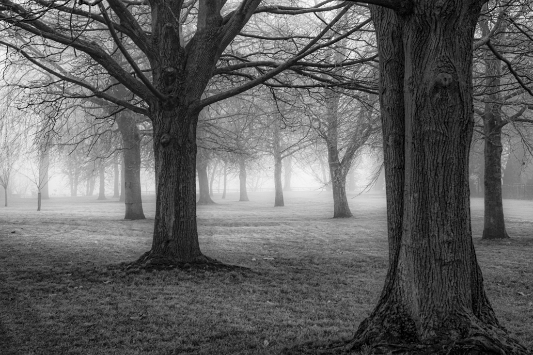 Misty Morn Along The Isis, Oxford