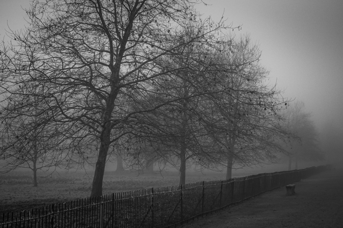 Misty Morn Along The Isis, Oxford