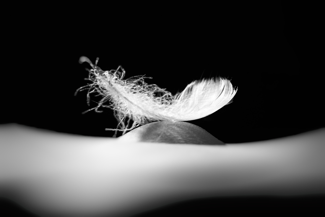 Fluff