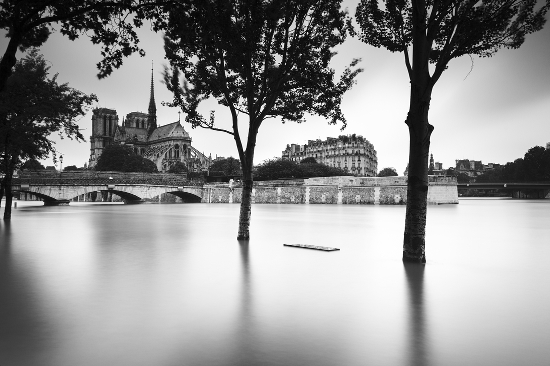 Parisian Dreams