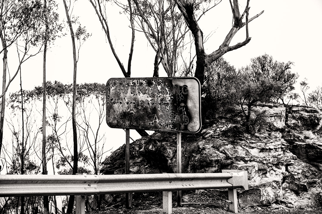 Still standing after Bushfires