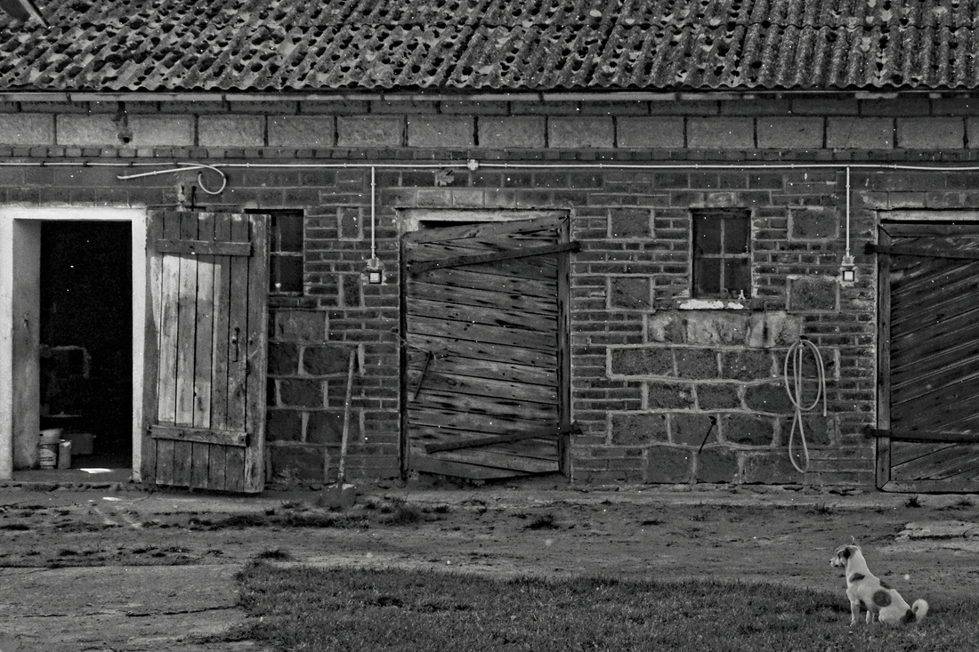 The Village