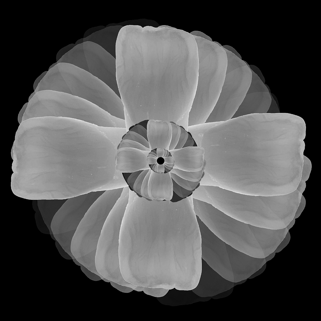 Bioemulation
