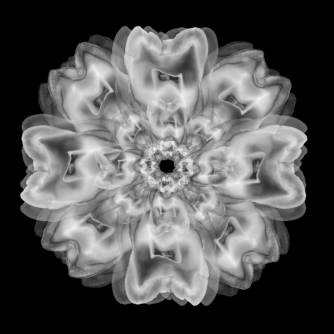 Bioemulation