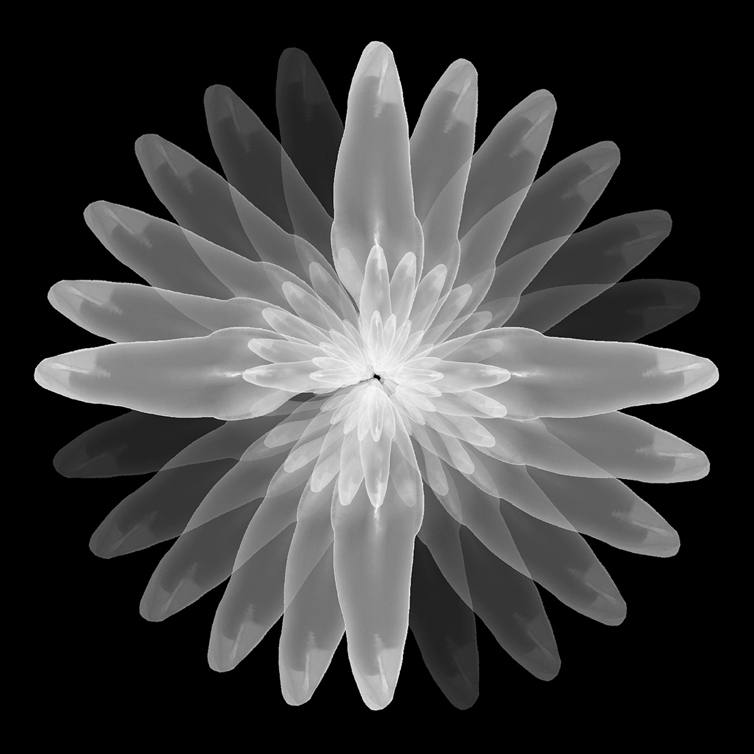 Bioemulation
