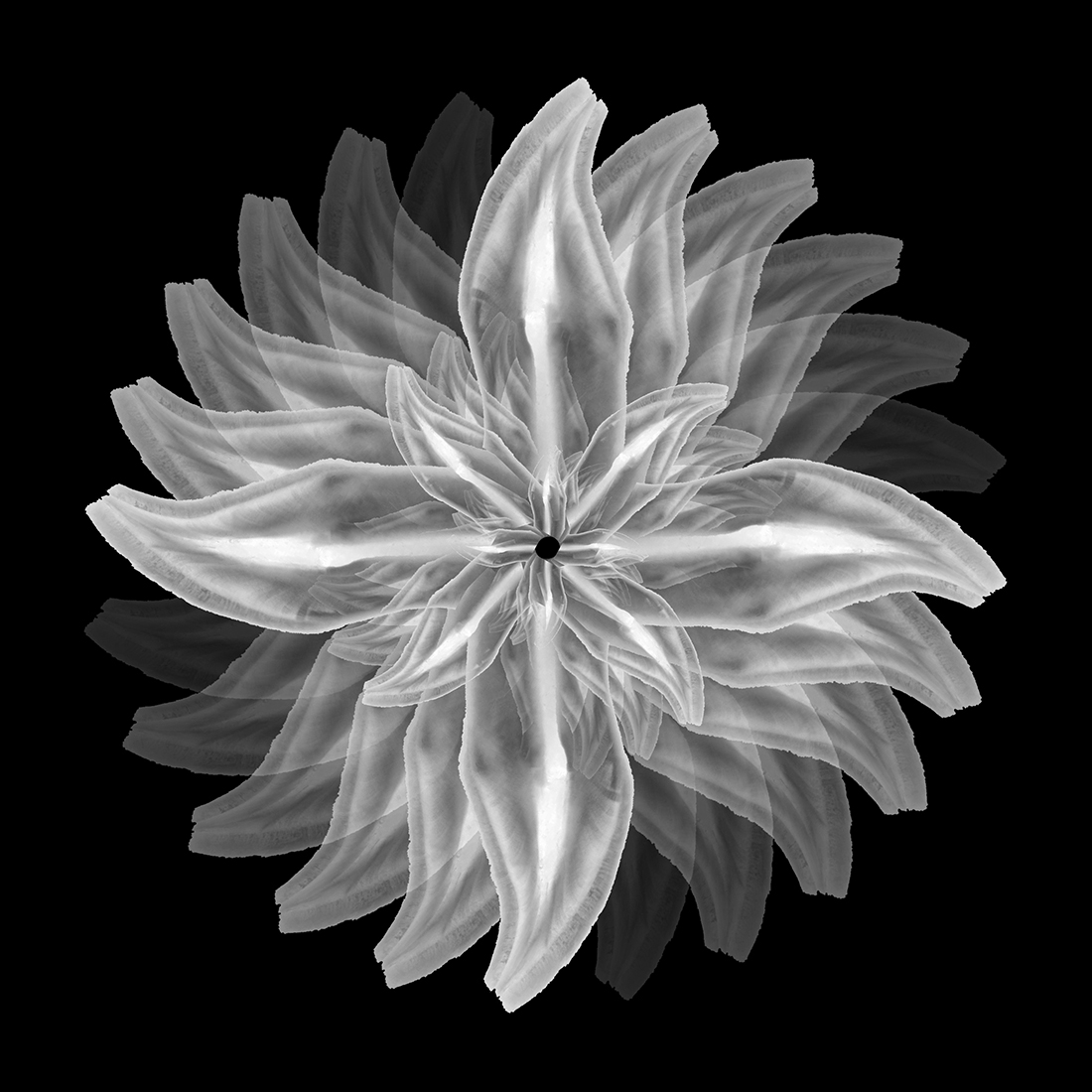 Bioemulation
