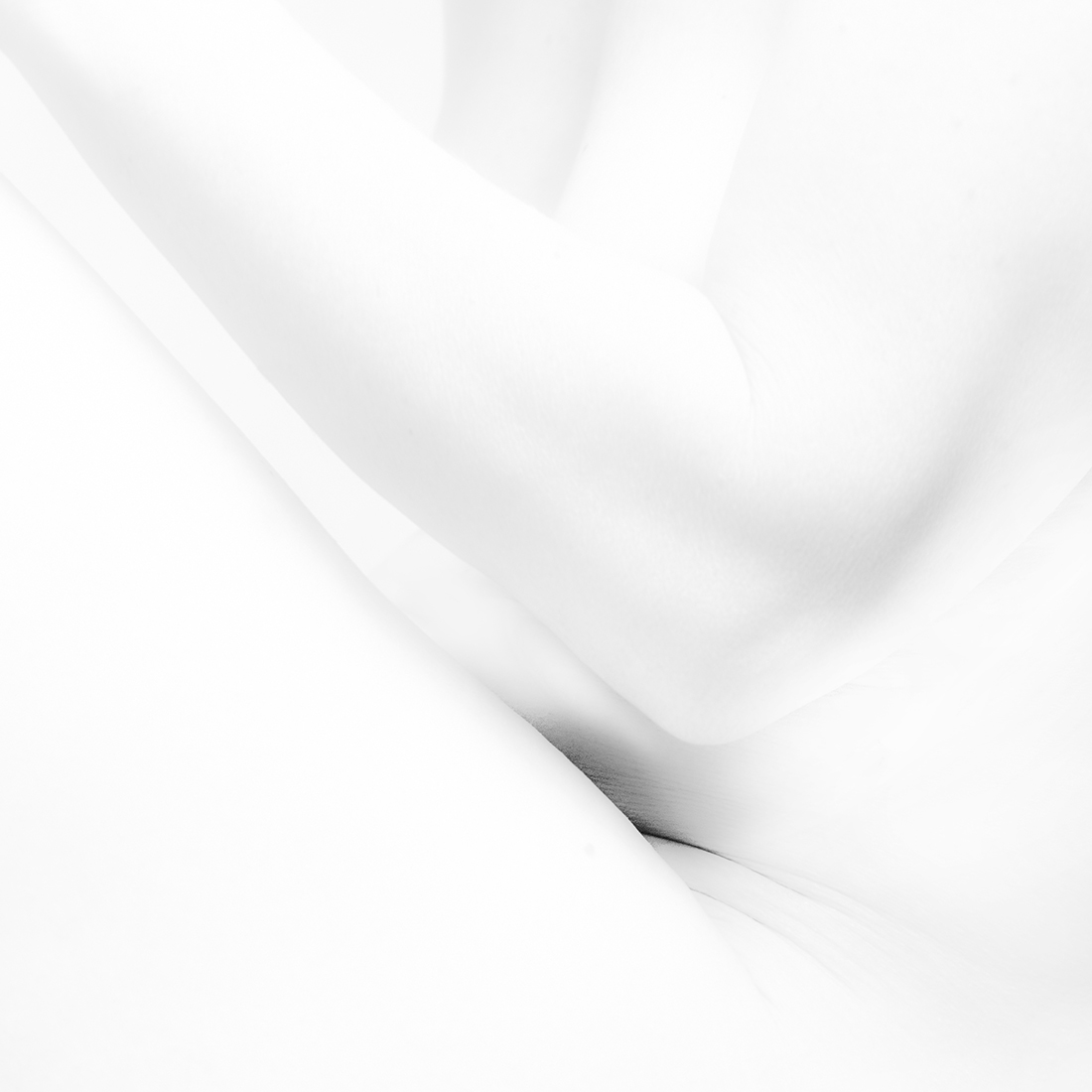 Géométrie du corps- Body Geometry