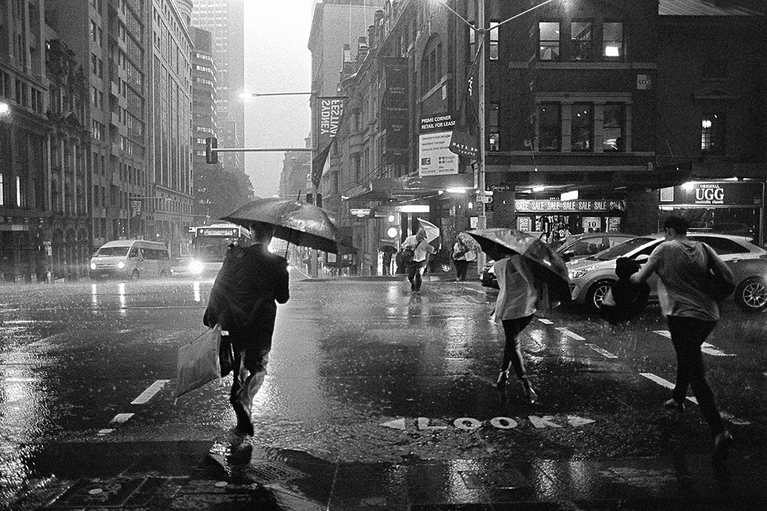 Umbrella
