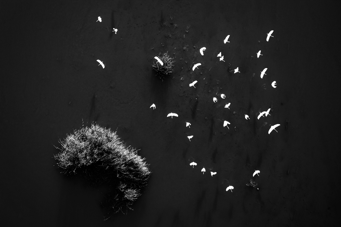 Ecological Wetland