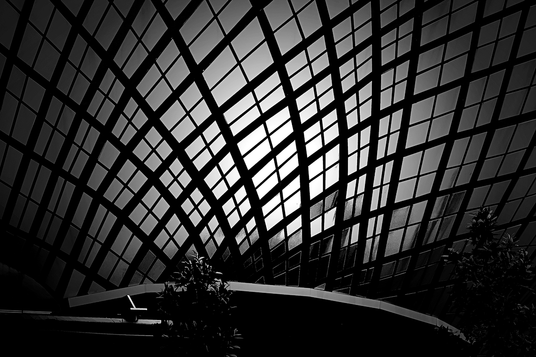 Facets of MITEC