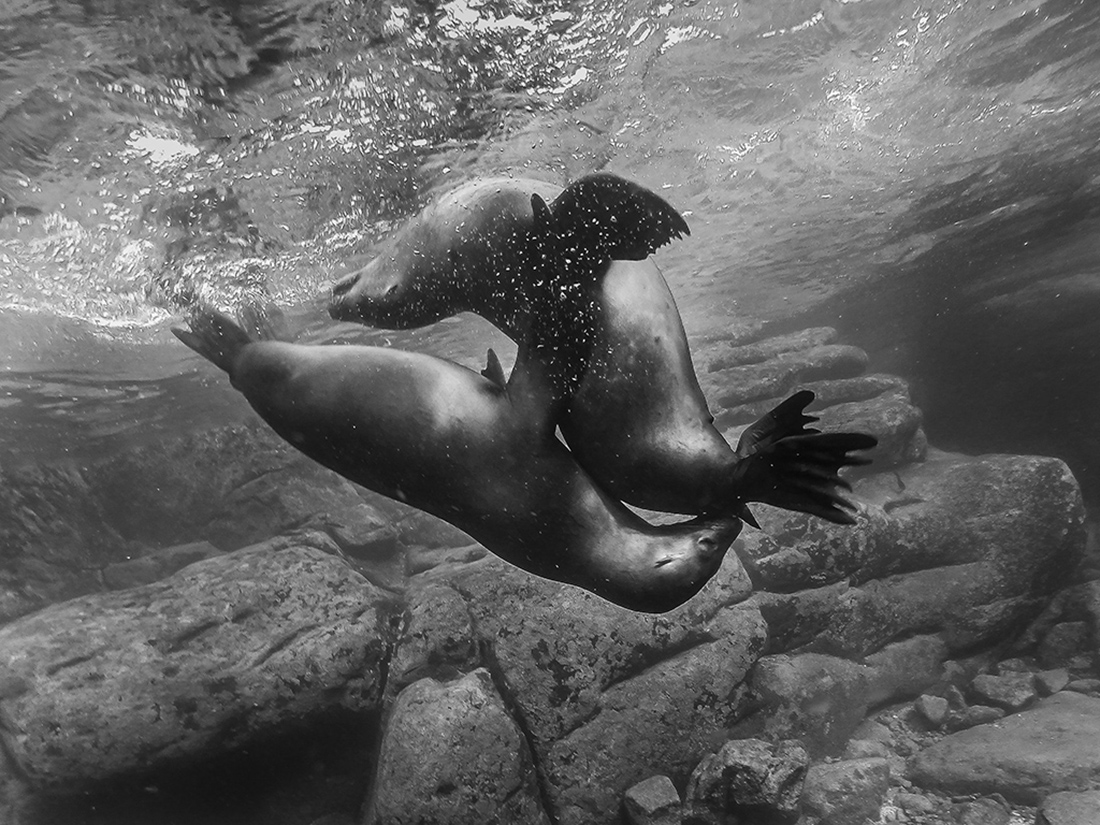 Underwater Ballet