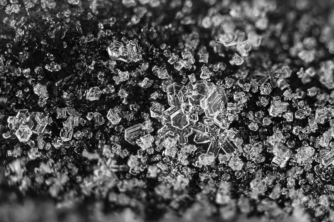Frosted Snowflakes