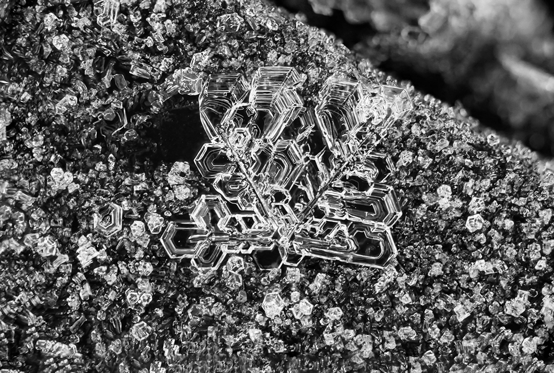 Frosted Snowflakes
