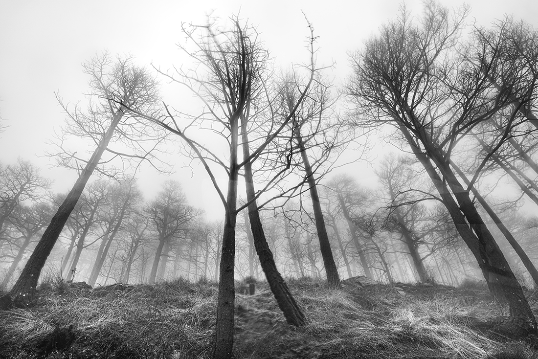 Silence after blaze