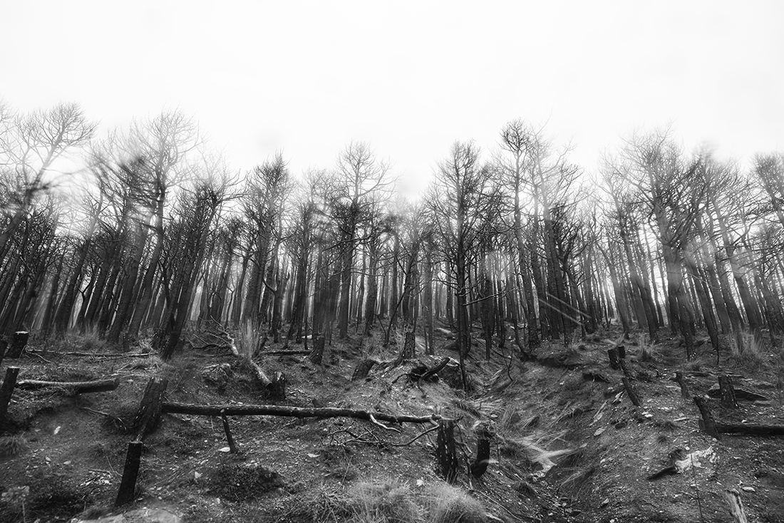 Silence after blaze