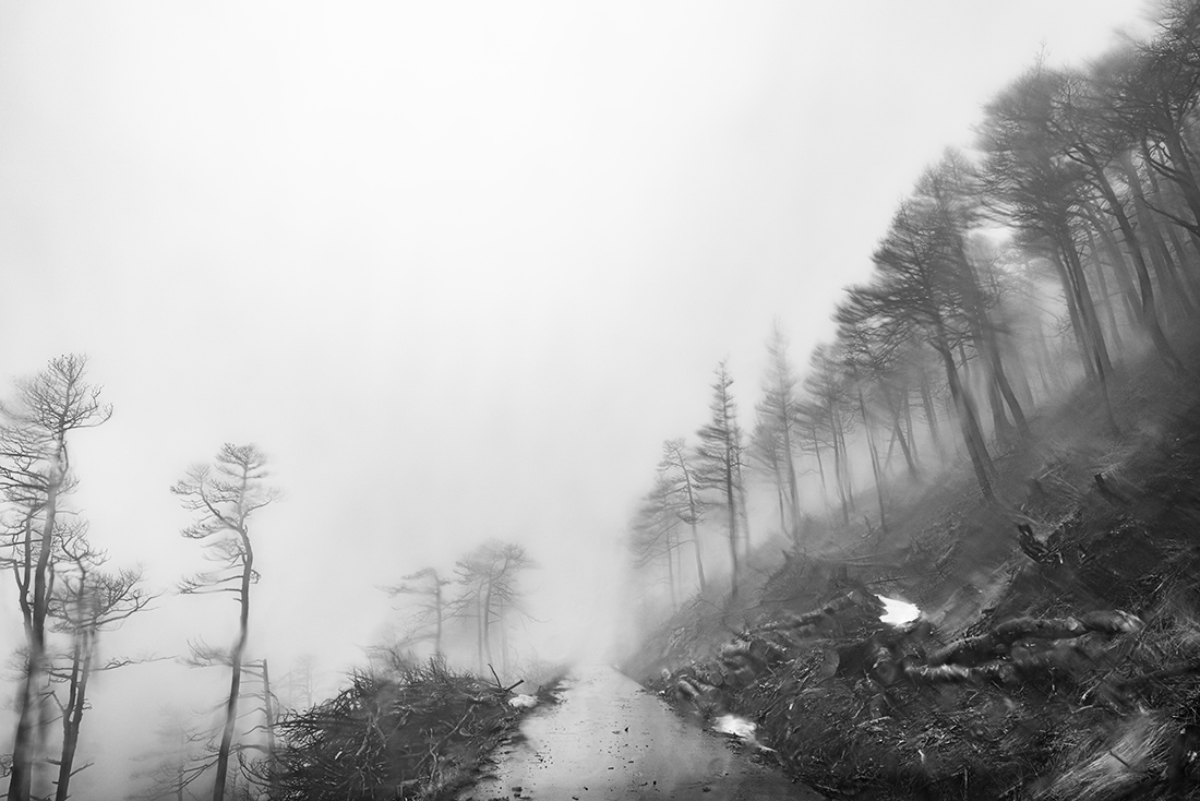 Silence after blaze