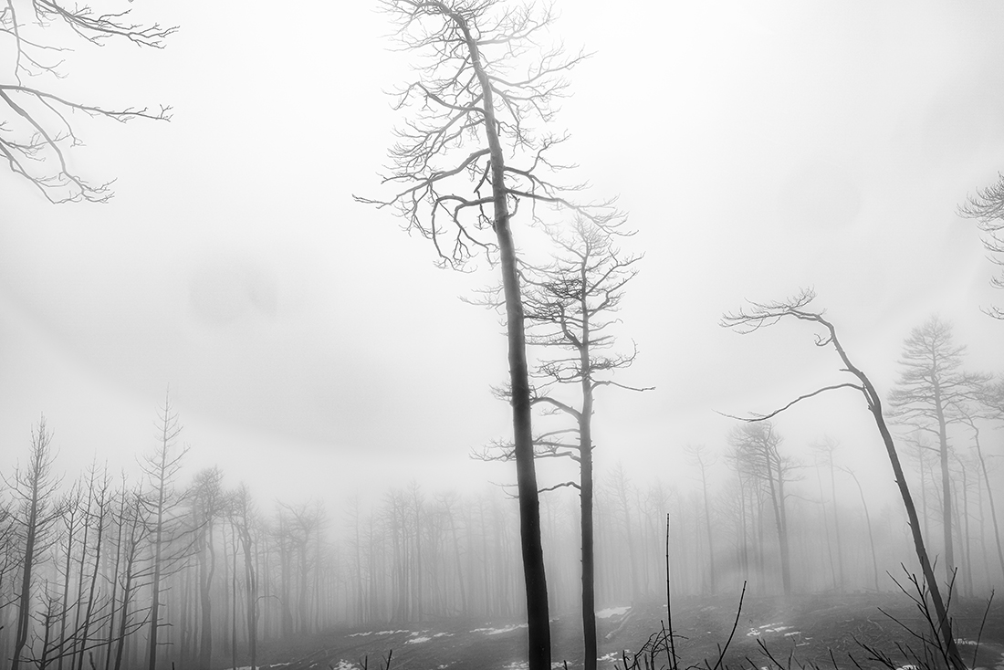 Silence after blaze