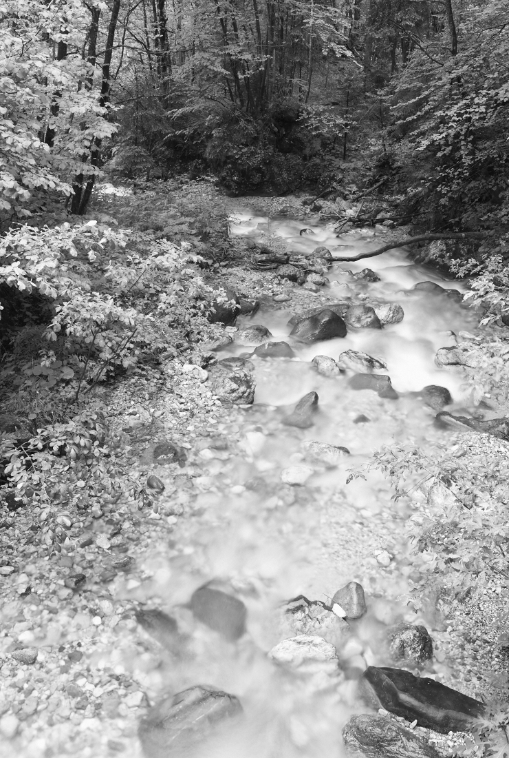 Time flows