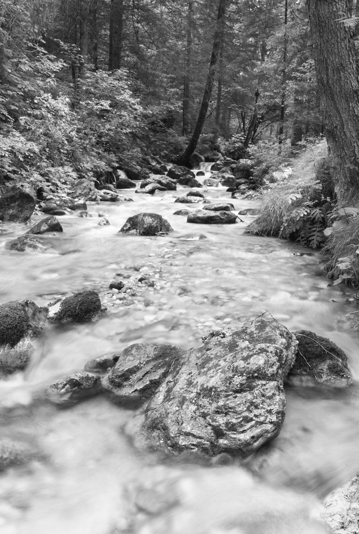 Time flows