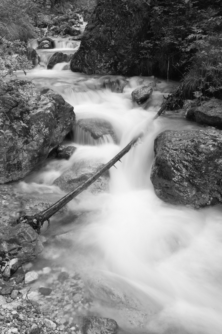 Time flows