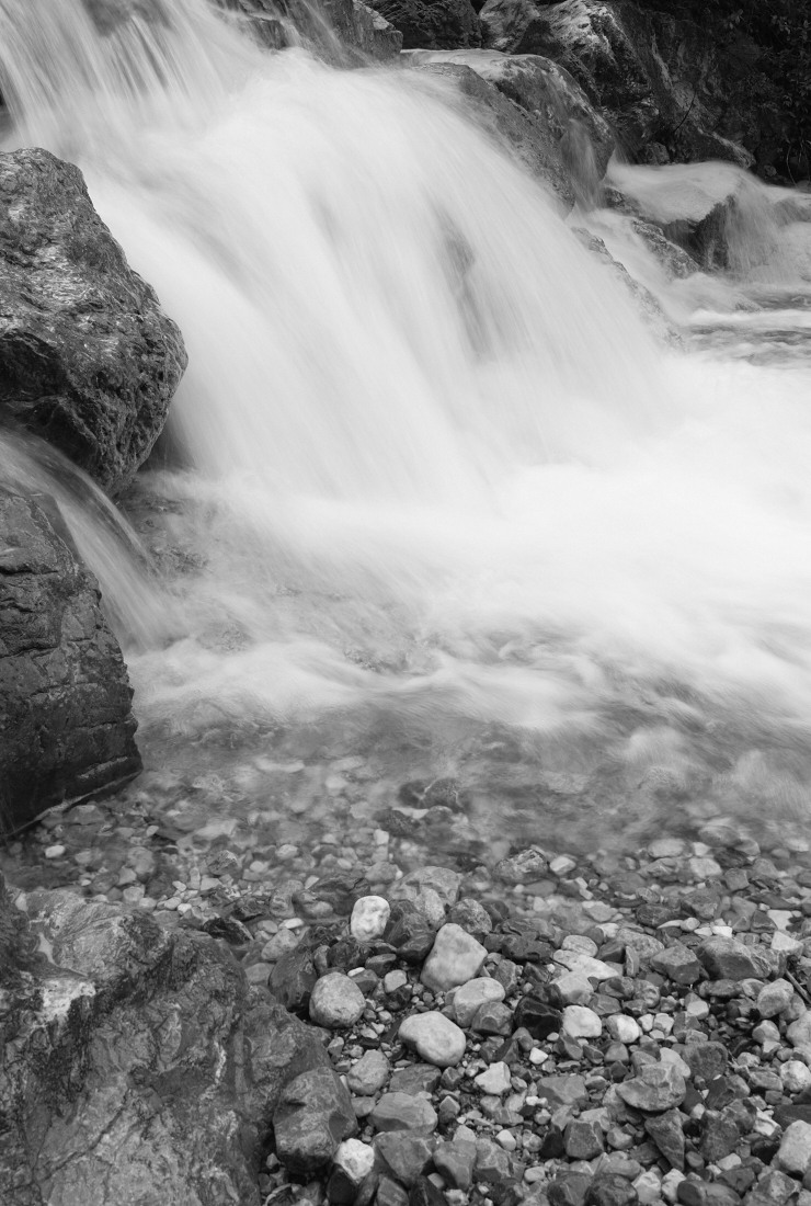 Time flows