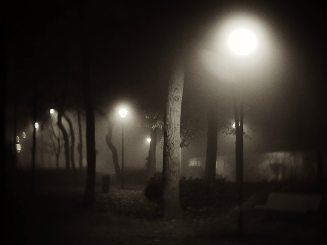 Walk in the fog
