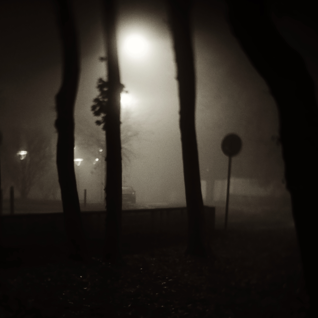 Walk in the fog