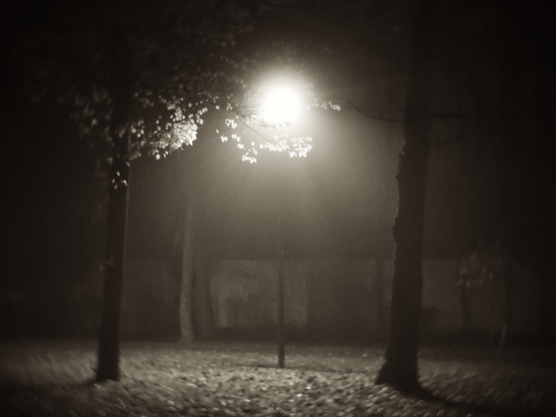 Walk in the fog