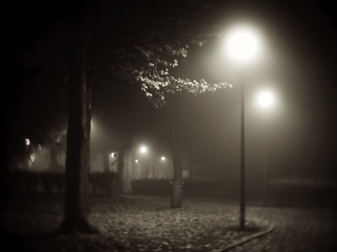 Walk in the fog