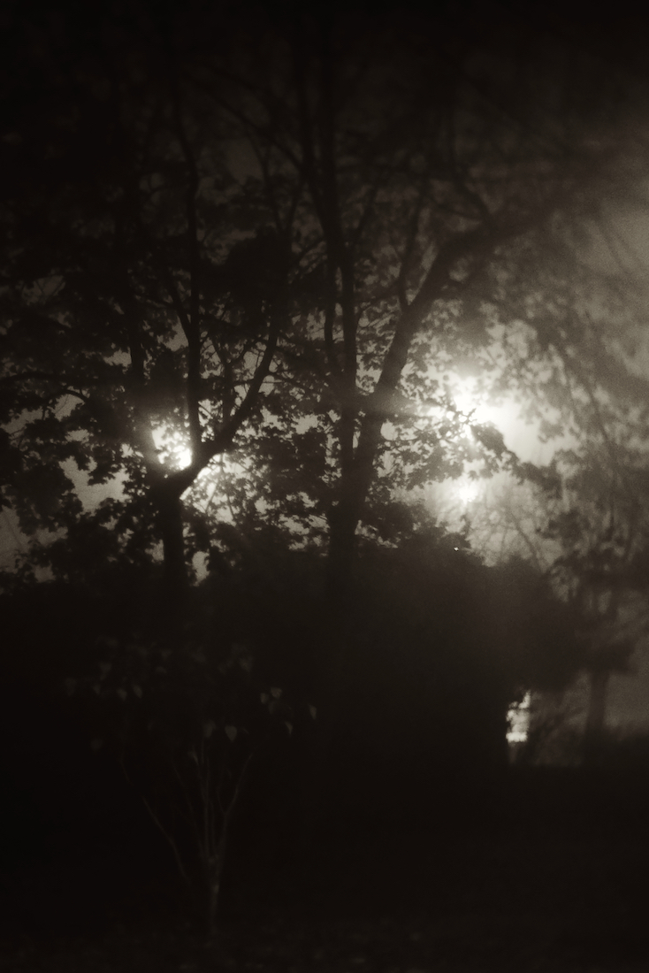 Walk in the fog
