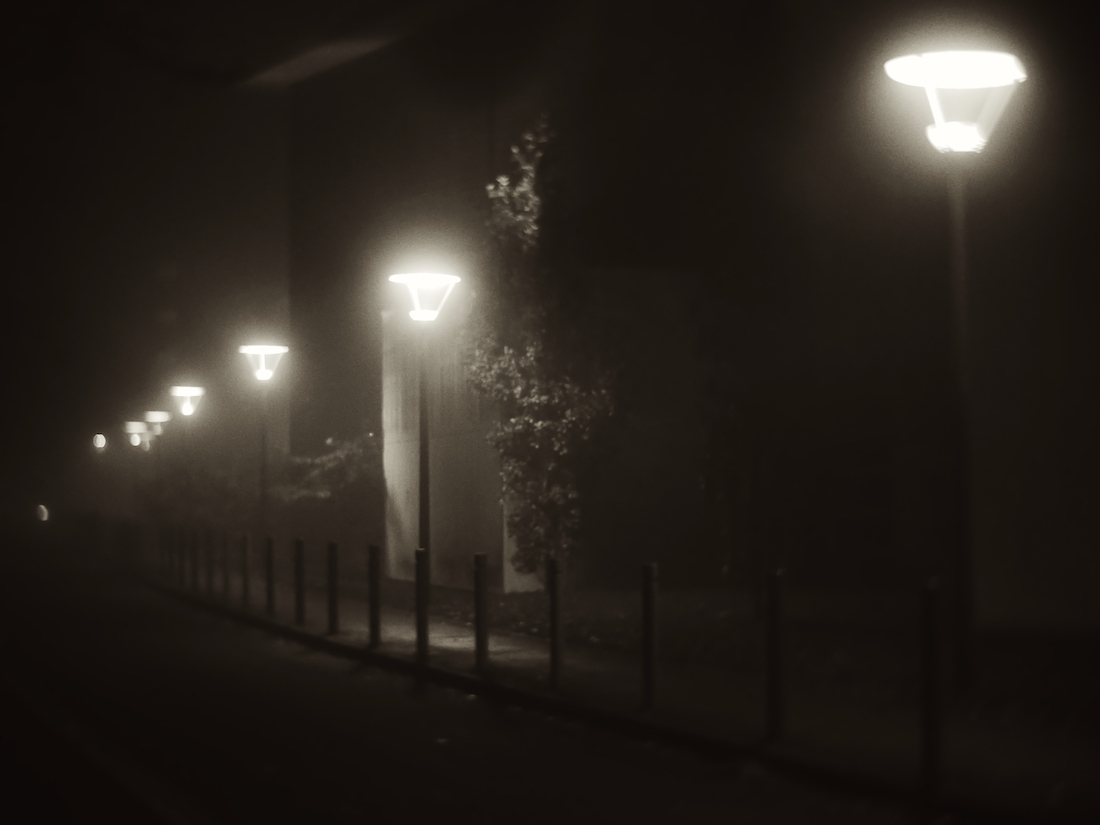 Walk in the fog